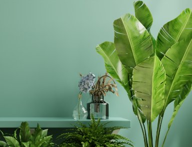 TITRE DE MON IMAGE TITRE DE MON IMAGE